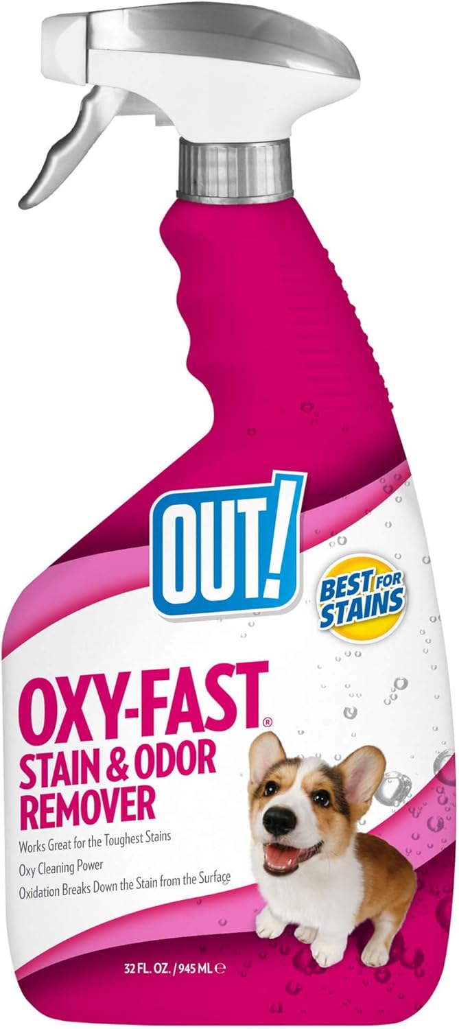 bal coeur animal hospital