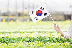 50 Pack South Korean Flags on Stick - Small Mini