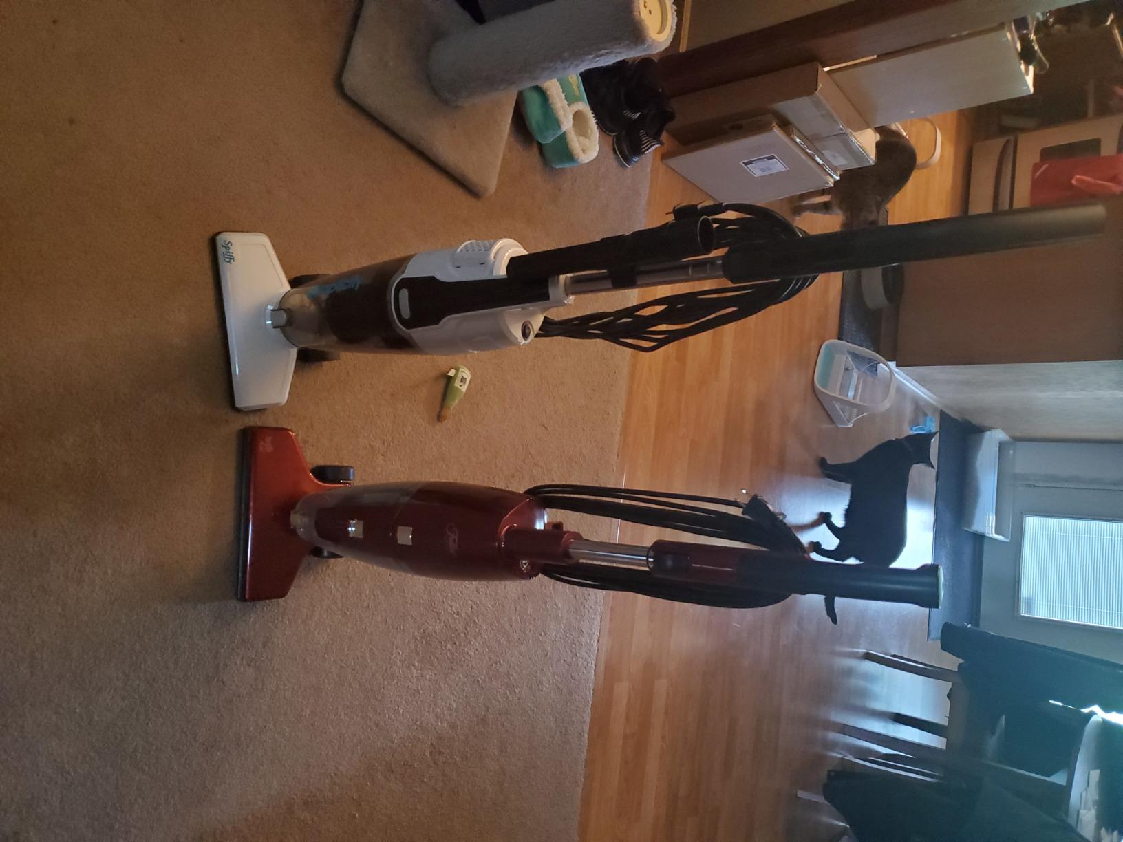 User photo