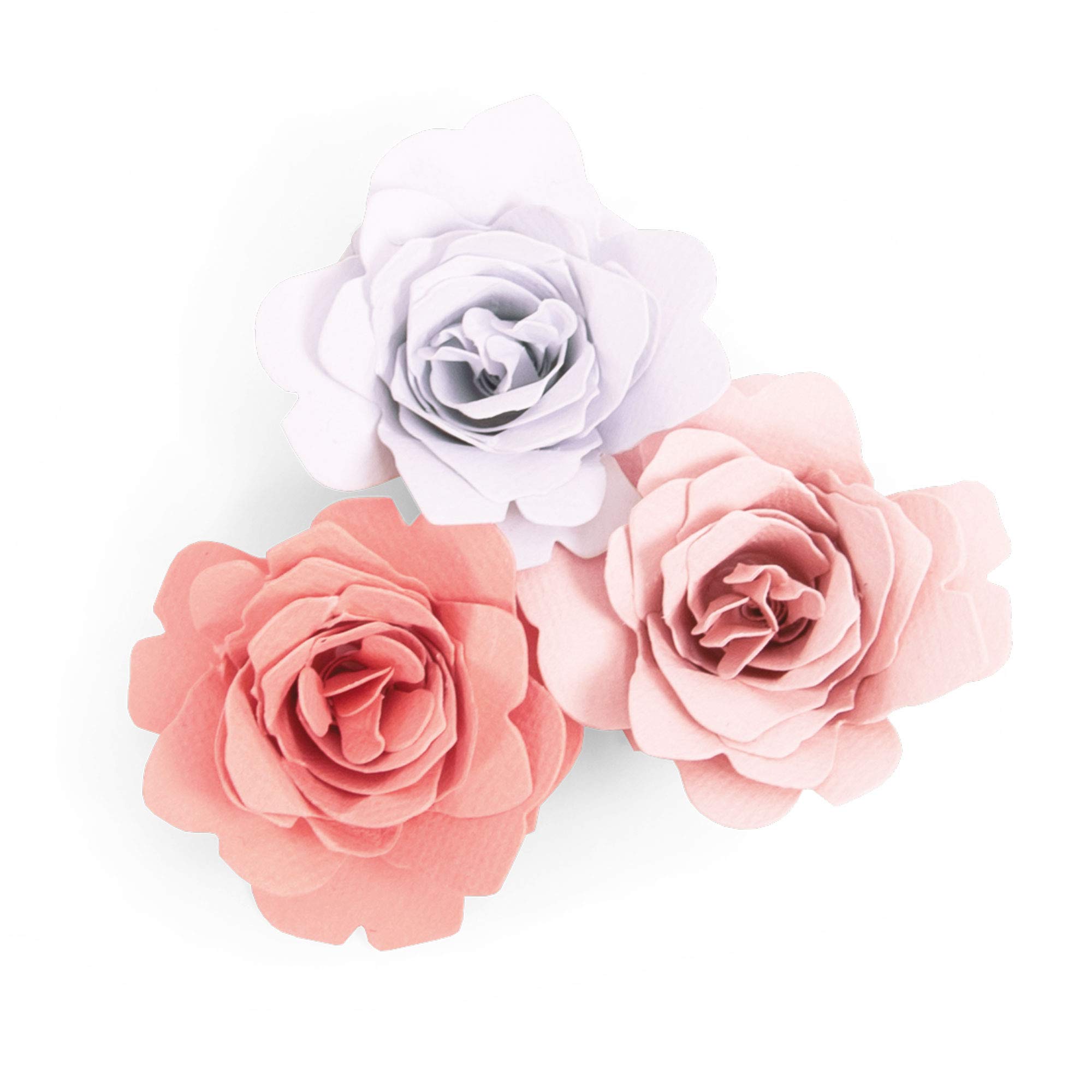 Sizzix Bigz Die 663848, Grace by Jennifer Ogborn, Paper, Mulitcolour, One Size