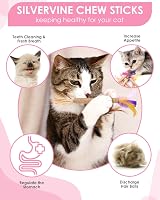 ERKOON Catnip Toys Cats Kitten Silvervine Chew Sticks Feather Matatabi view 2