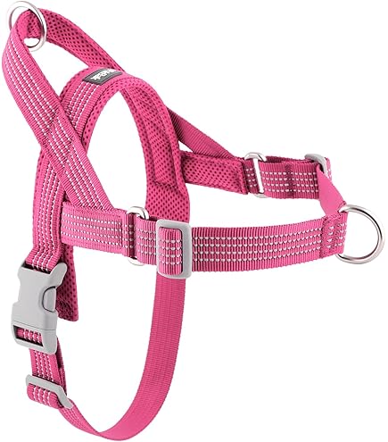 Amazon.com : APakBak No Pull Dog Harness with Handle, Adjustable