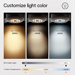 TALOYA 52 inch Modern Ceiling Fan with
