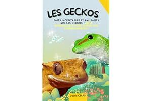 Les geckos: faits incroyables et amusants sur les geckos + quizz Intéressants pour Tester Vos Connaissances !