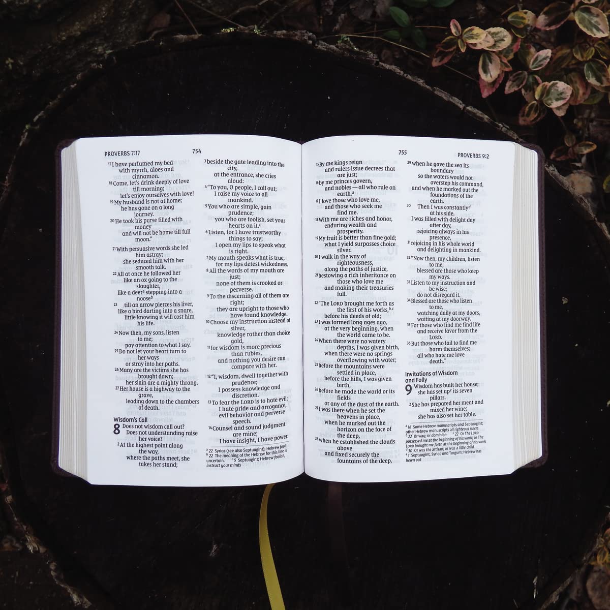 NIV, Larger Print Compact Bible, Leathersoft, Brown, Red Letter, Comfort Print NIV, Larger Print Compact Bible, Leathersoft, Brown, Red Letter, Comfort Print Imitation Leather