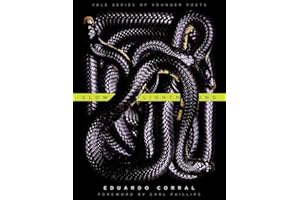 Slow Lightning (Volume 106)
