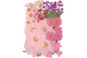 FLYEKIST 10 Types 50PCS Dried Flowers for Resin & Pressed Flowers Kit -Real Pressed Flowers and Leaves for DIY Art, Crafts, Pressed Flower Frame, Jewelry, Bookmarks ect- Perfect for Unique Gifts and Home Decor