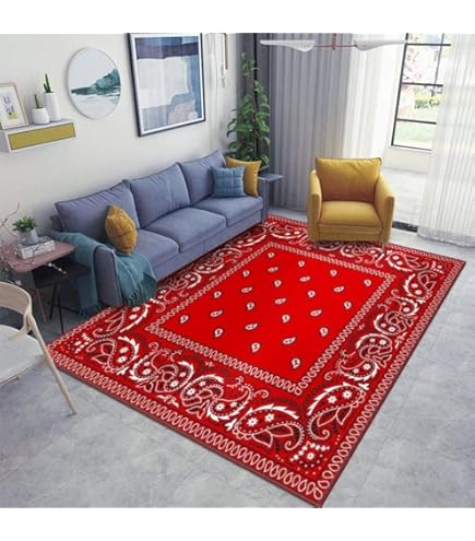 Amazon.com: ZOANIML Blue Paisley Area Rugs Non-Slip Floor Mat