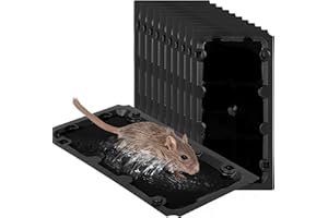 WANQUEEN 10 Pack Sticky Mouse Trap Rat Traps Indoor, Peanut Taste Pheromone Mouse Traps Indoor for Home