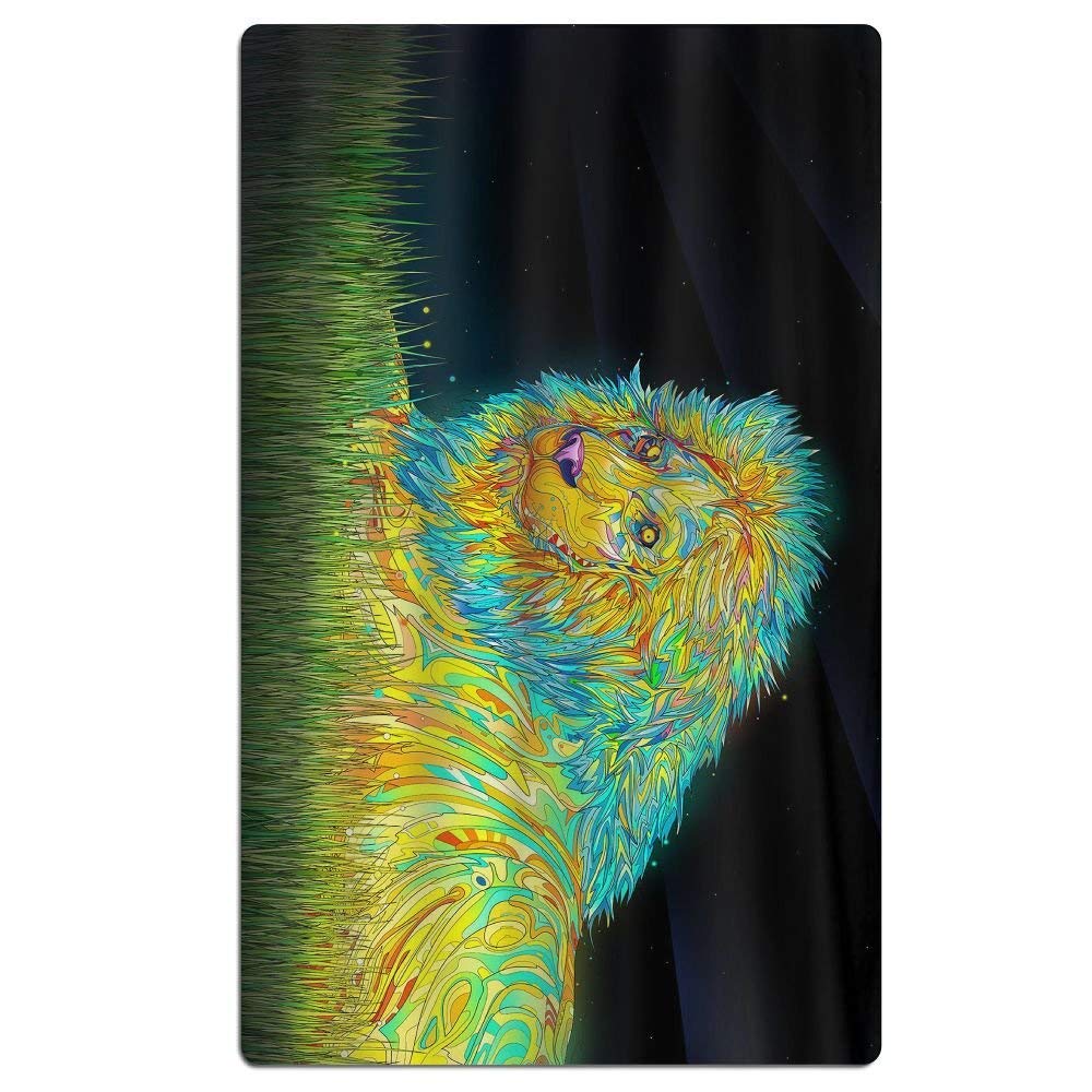 Rongxincailiaoke Serviettes Plage Draps De Bain 31x51 Inch