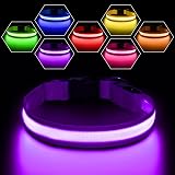 PcEoTllar Light Up Dog Collar USB Rechargeable 8 Modes Purple 7 Colors
