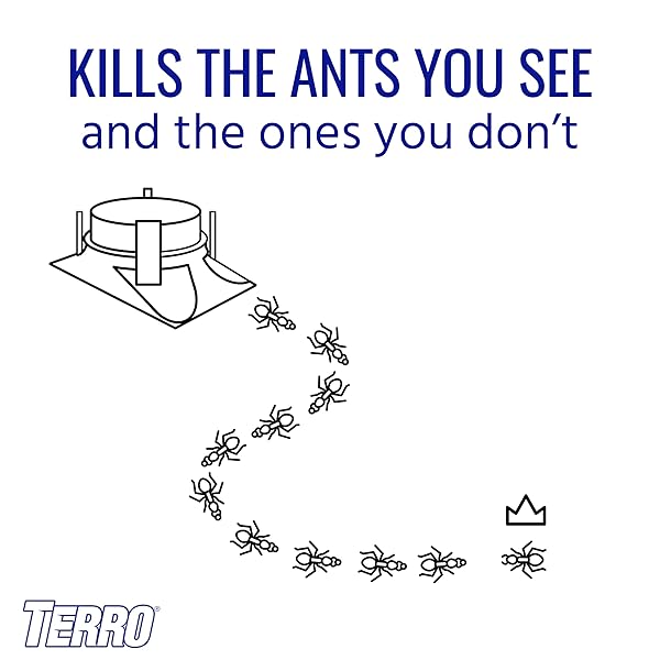TERRO T1804SR OUTDOOR READY-TO-USE LIQUID ANT BAIT KILLER AND TRAP – KILLS COMMON HOUSEHOLD ANTS – 8 BAIT STATIONS