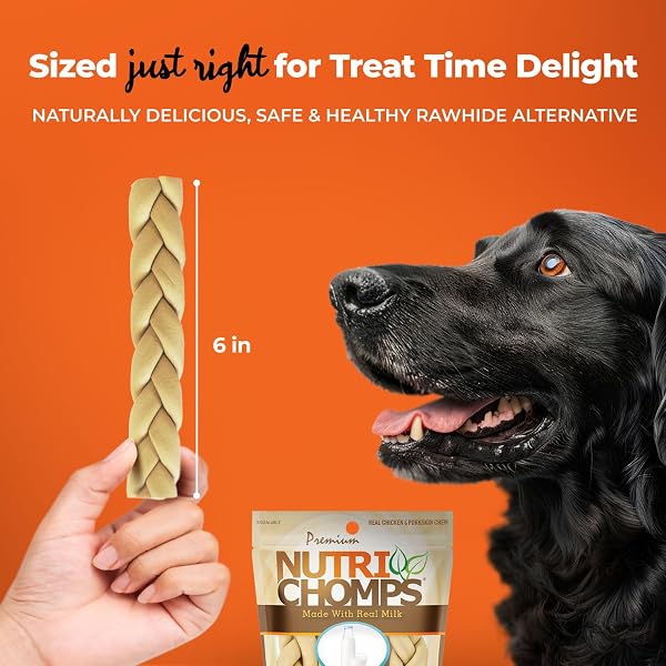 NUTRICHOMPS DOG CHEWS, 6-INCH BRAIDS, EASY TO DIGEST, RAWHIDE-FREE DOG TREATS, HEALTHY, REAL CHICKEN, PEANUT BUTTER AND MILK FLAVORS, PACK OF 4