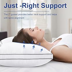 Premium Pillows King Size Set of 2, Fluffy and