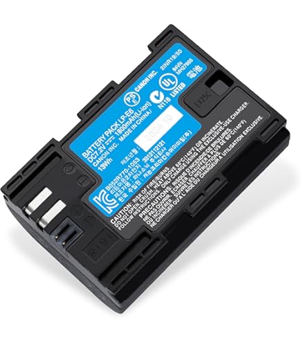 Amazon.com : Battery Pack for Canon EOS 7D, 7D Mark II, 7D MK II