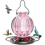 Glass Hummingbird Feeder for Outdoors Hanging, Bird