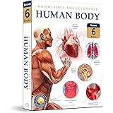 Knowledge Encyclopedia: Human Body (Knowledge Encyclopedia For Children)