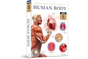 Human Body Box Set Knowledge Encyclopedia For Children