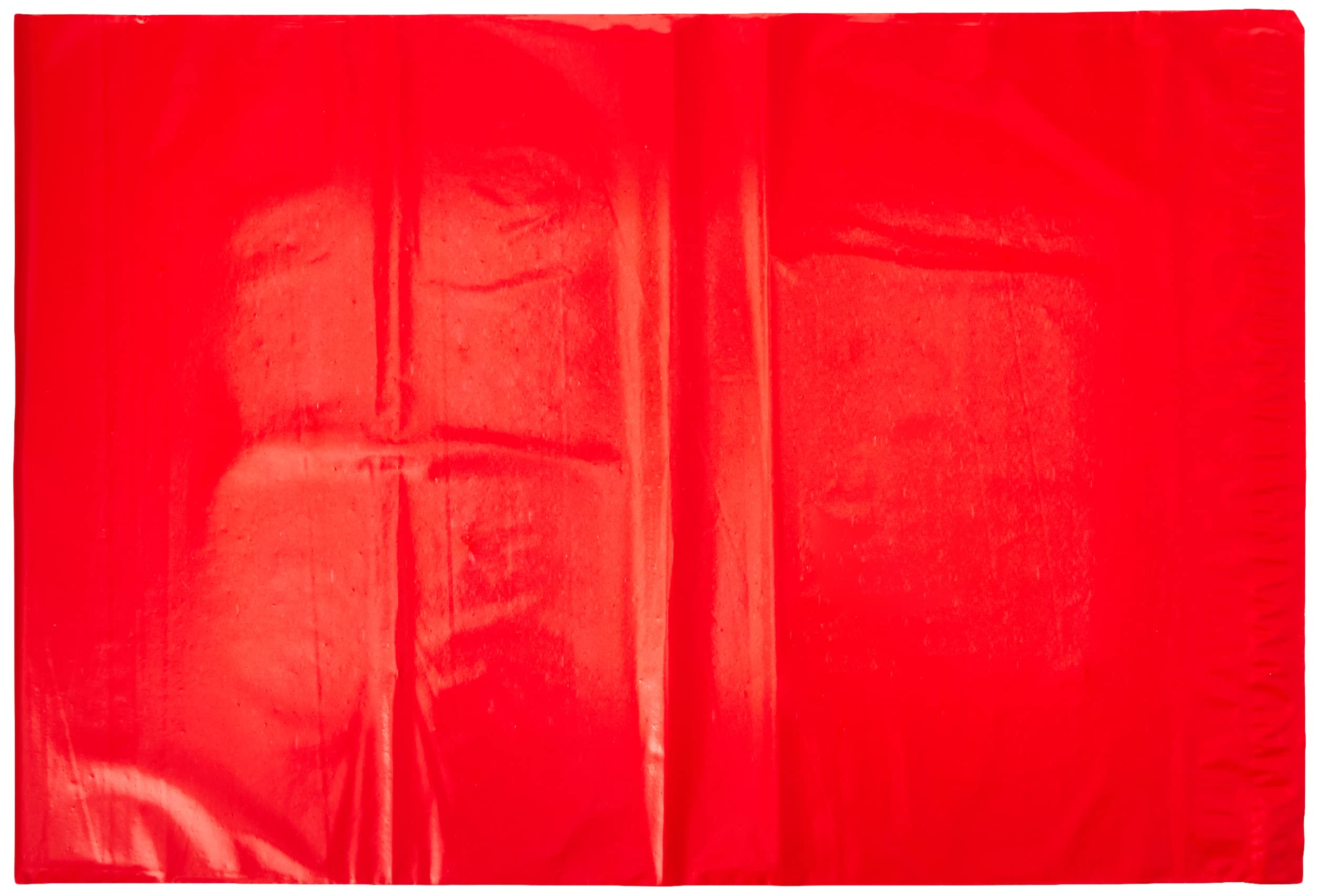 Triplast 12 x 16-Inch Plastic Mailing Postal Bag - Red (Pack of 200)