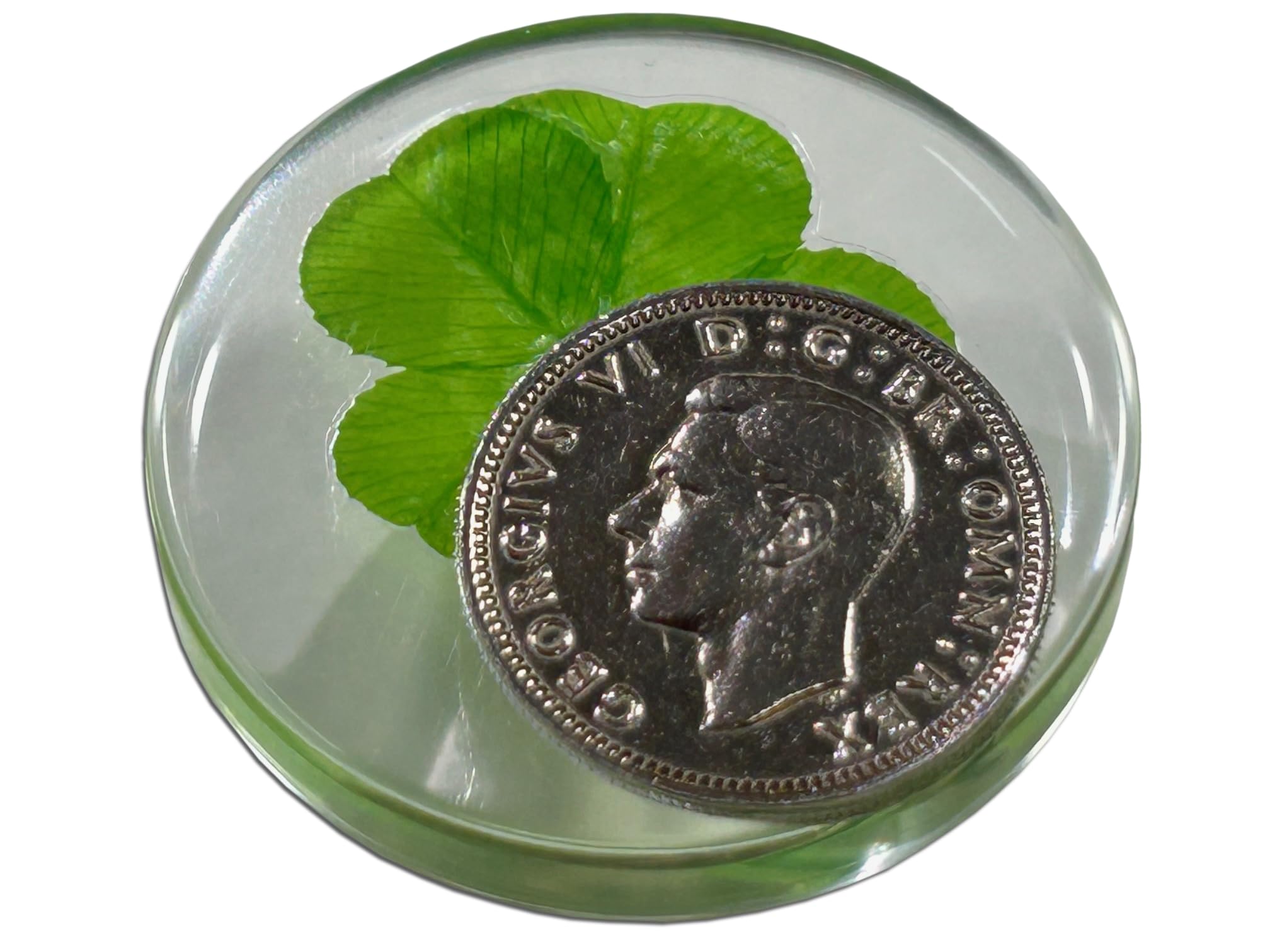 Real Four Leaf Clover Good Luck Pocket Token, Preserved, 3.2 cm, Including Sixpence coin (George VI)