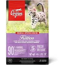 Amazon.com: ORIJEN Dry Kitten Food, Grain Free Food for Kittens ...