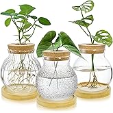 YIMITEE 3 Pack Plant Propagation Station, Tabletop Plant Terrarium with Bamboo Tray, Glass Hydroponics Plants Jars, Bulb Flower Vase for Hydroponics, Home, Office, Garden Decoration, Plant Lover