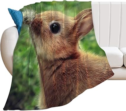 Amazon Co Jp たんぽぽ うさぎ 毛布 厚い フランネル ふんわり 保温 ホーム キッチン