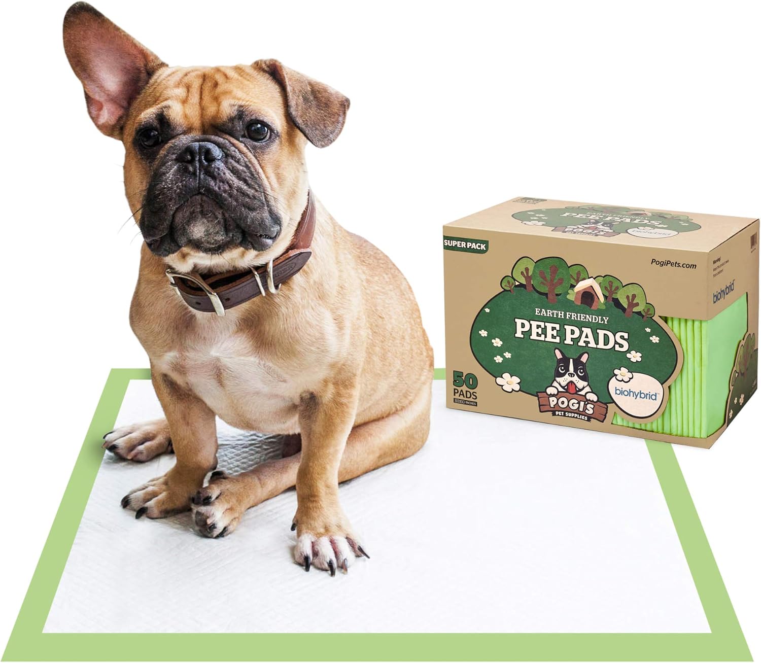 Sausage Dog Pet Supersuper French Bulldog Guinea Pig And Fish Wrapping Sausage Dog Pet Supersuper French Bulldog Guinea Pig And Fish Wrapping