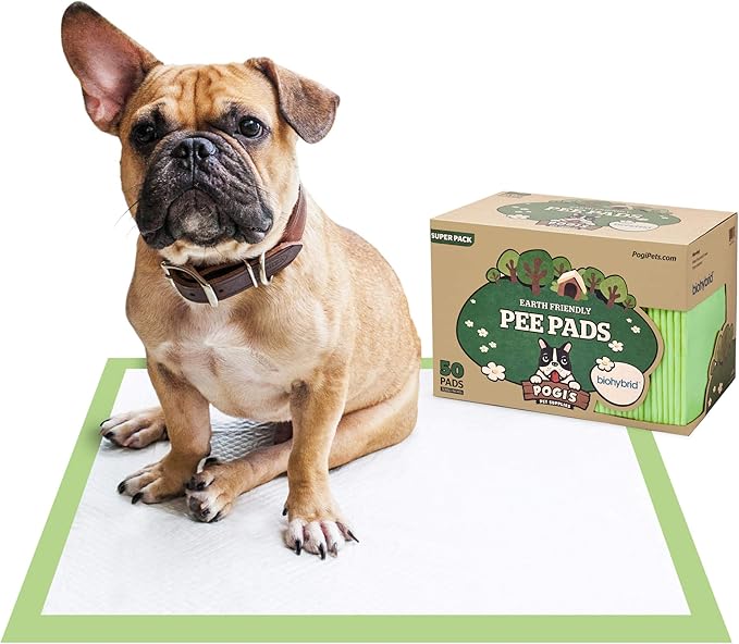 greyhound rescue dogs for adoption