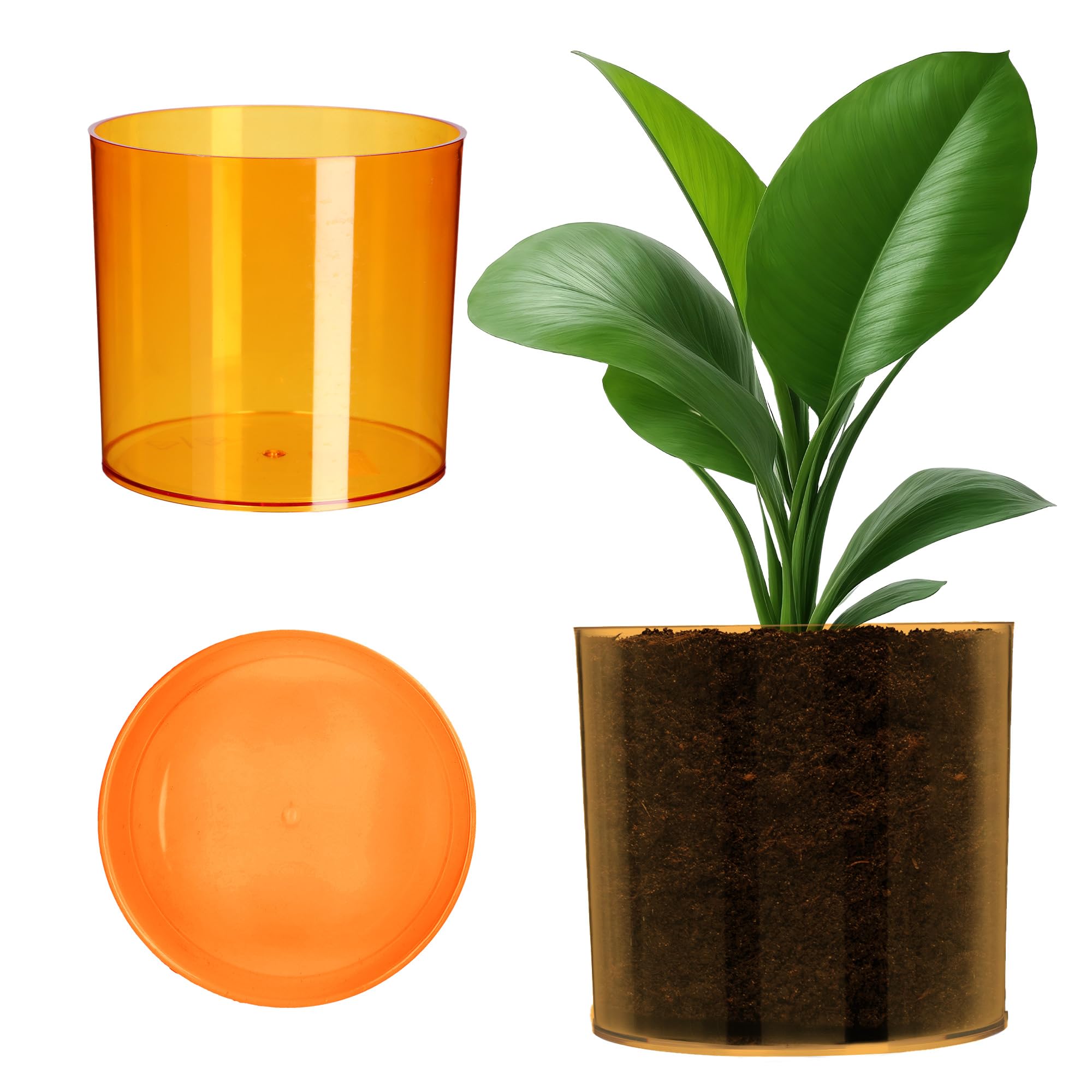 KADAX Plastic Flower Pot, 13 Colours, Shiny Cylindrical Pot, Herb Pot, Flower Vase, Planter, Plant Pot (Diameter 12.8 cm, Orange)