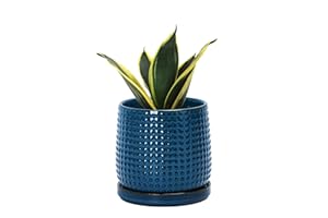 D'vine Dev 4 Inch Ceramic Beaded Stoneware Planter Pot - Flower Pot with Drainage Holes and Saucers for Indoor Succulent Plants or Flowers, Midnight Blue, 27-C-Z-3