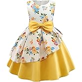 AIMJCHLD 2-9T Girls Flower Dress Kids Formal Special Occasion Party Dresses