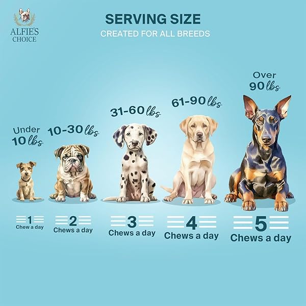ALFIE’S CHOICE DOG CALMING CHEWS – DOG ANXIETY RELIEF STRESS & SEPARATION SUPPORT – PET HEMP CALMING CHEWS FOR DOGS ALL BREEDS – CALMING DOG TREATS SOFT CHEWS – 12 OZ, APPX 160 COUNT
