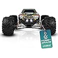 LAEGENDARY Remote Control Car, Hobby Grade RC Car 1:10 Scale Brushed Motor with Two Batteries, 4x4 Off-Road Waterproof RC Tru