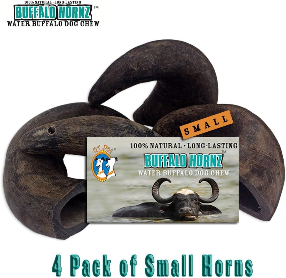 maltese shih tzu hypoallergenic