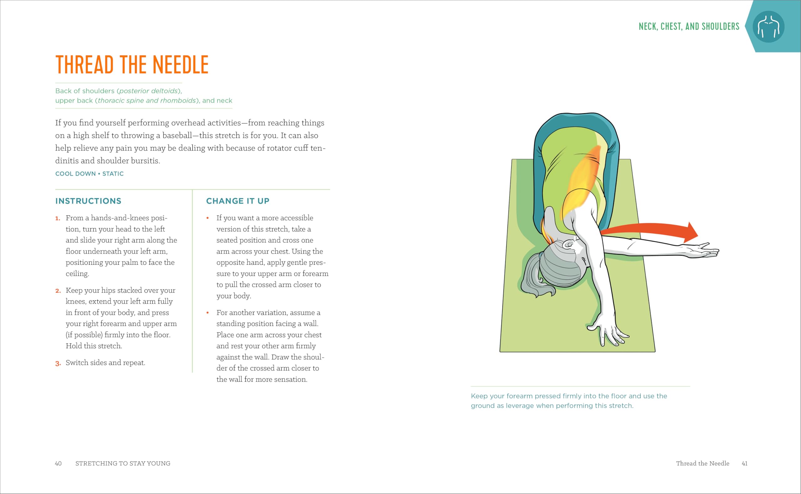 Stretching to Stay Young: Simple Workouts to Keep You Flexible, Energized, and Pain Free