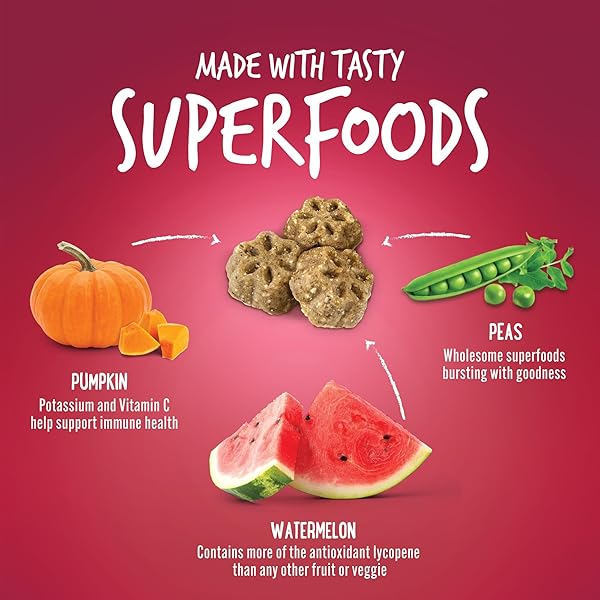 FRUITABLES SKINNY MINIS DOG TREATS, HEALTHY PUMPKIN TREAT FOR DOGS, LOW CALORIE & DELICIOUS, PUPPY TRAINING, NO WHEAT, CORN OR SOY, MADE IN THE USA, WATERMELON FLAVOR, 5OZ