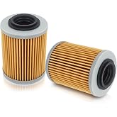 AUTOKAY 0800-011300 Engine Oil Filter Fits for CF Moto Cforce Zforce Uforce 400 500 800 950 1000cc - 2 Pcs
