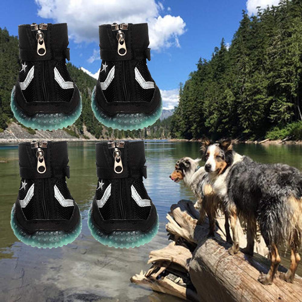 Sforza Hundeschuhe Pfotenschutz Hund, Gemütlich Sole mit Leuchtend bei Dunkelheit, Schwarz M