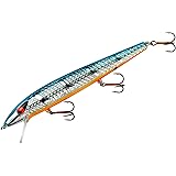 Smithwick Lures Suspending Super Rogue Fishing Lure