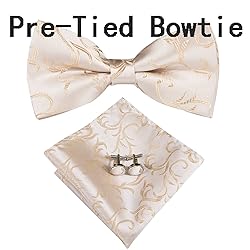 Hi-Tie Mens Suit Vest Bowtie Set Ties for Men V