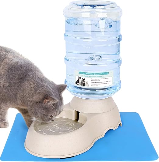 automatic cat feeder and water