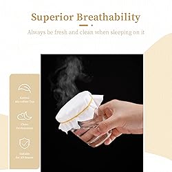 Safe and Sound Queen Mattress Protector, Premium
