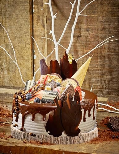 wohohoho 10 Pcs 9-10 Inch Large Natural Wood Slices for Centerpieces,  Unfinished Wood Circles with Bark for DI