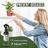 Growlands Indoor Plant Food 300 ml Foliar Mist Spray with Seaweed Extract view 5