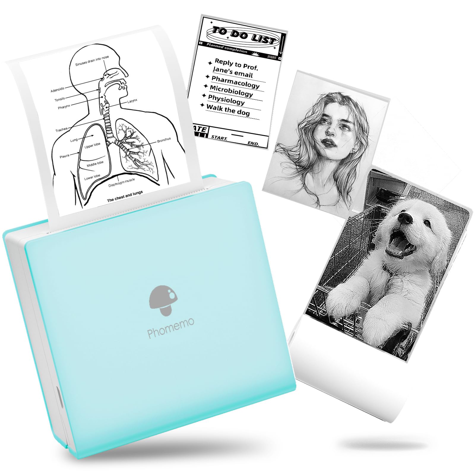Phomemo M02 Sticker Printer - 2024 Newest Mini