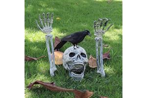 AISENO Realistic Skeleton Stakes and Crow Halloween Decorations for Lawn Stakes Garden Halloween Skeleton Decoration