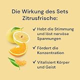 spitzner Sauna Infusion Set Citrus Fresh 3x190ml Mandarin Grapefruit Orange view 2
