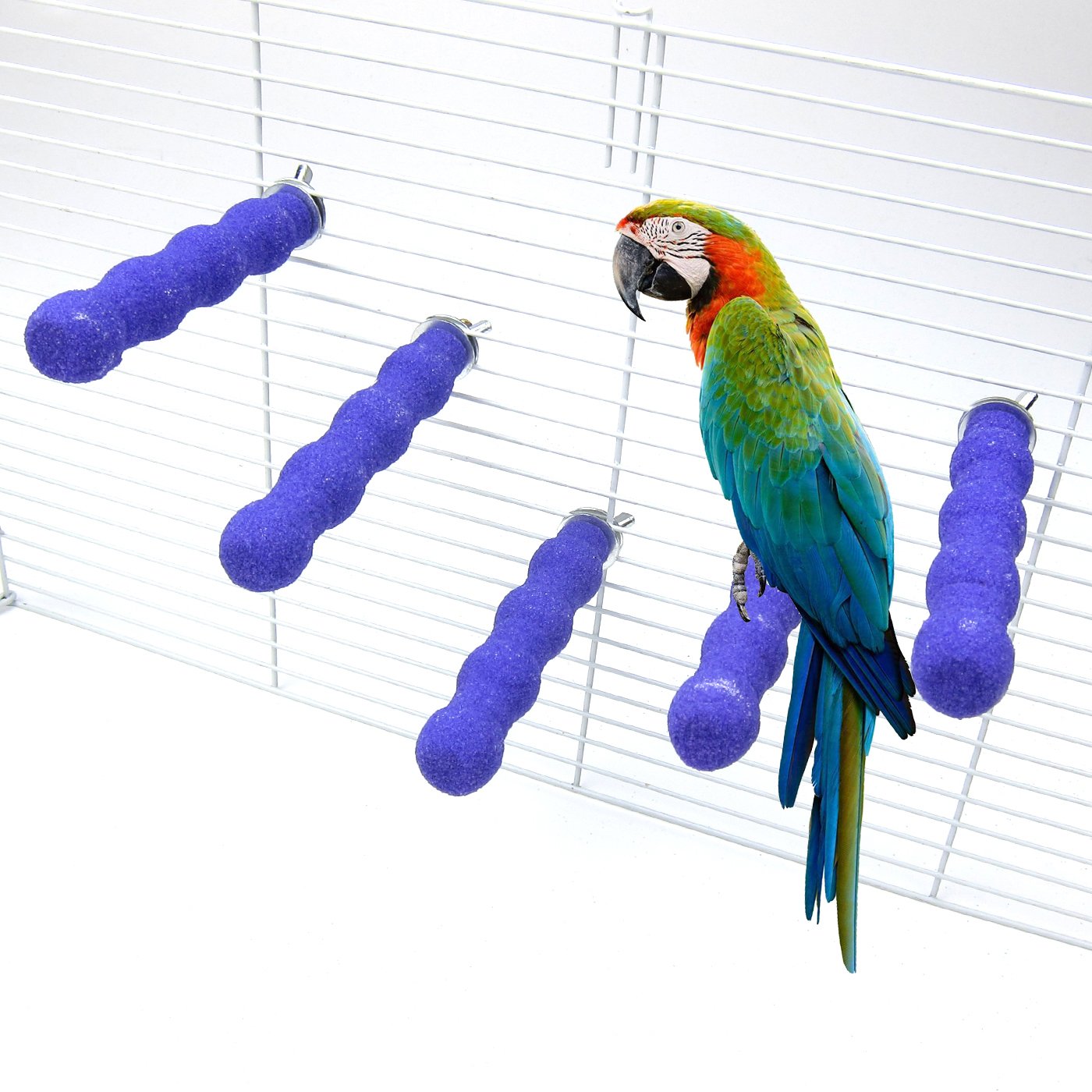 Which Is The Best Cement Bird Ladder