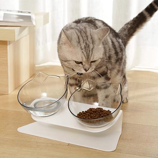 amazon cat feeding bowls